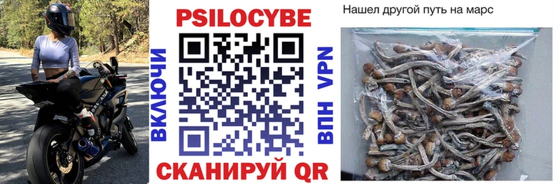 Галлюциногенные грибы Psilocybe Томск